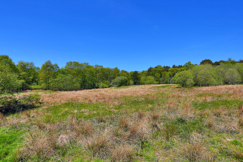 Plot 1 Clovenstone Farm, Kintore, Inverurie, AB51 0YH Mackinnons